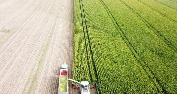 Drone following a harvesting machine