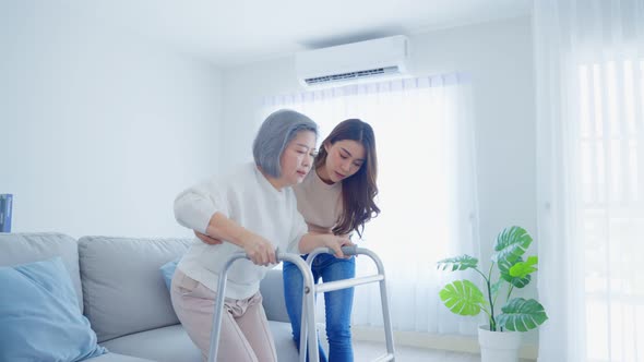 Asian young daughter support old disabled woman doing physical therapy, walk with walker at home.