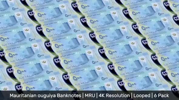 Mauritania Banknotes Money / Mauritanian ouguiya / Currency UM / MRU/ | 6 Pack | - 4K