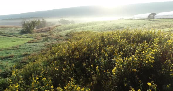 Aerial camera backing away from the rising sun showing fog, mountains, greenhouses, and large copse