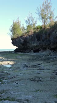 Vertical Video of Low Tide in the Ocean Near the Coast of Zanzibar Tanzania