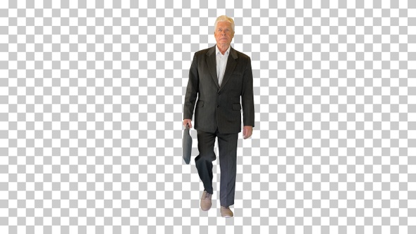Mature businessman walking with a briefcase, Alpha Channel