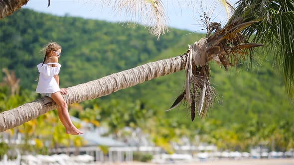 Little Girl at Tropical Beach Sitting on Palm Tree and Havinf a Lot of Fun. Kid on Caribbean