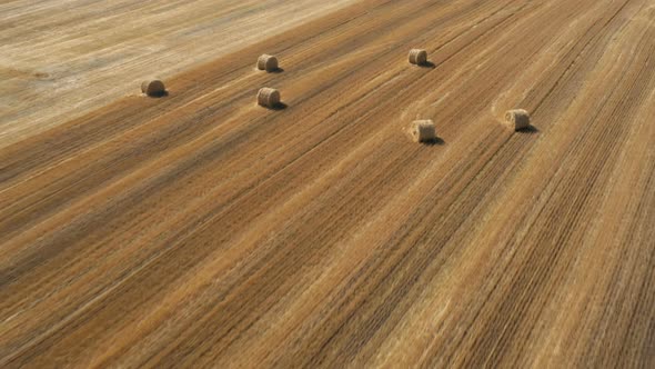 Round Hay Bales At The Field 11