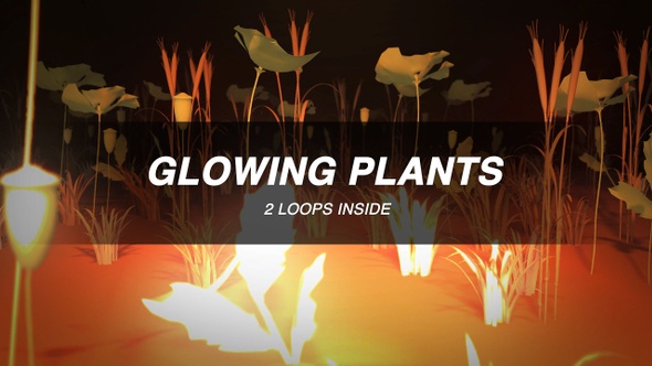 Glowing Plants