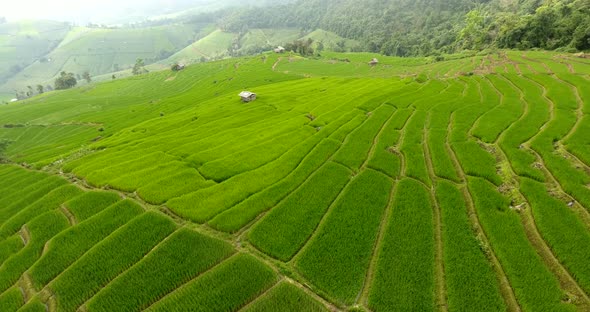 Rice field terrace on mountain agriculture land.