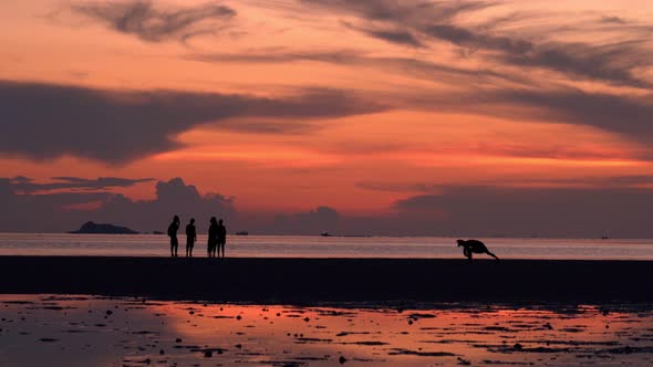 People Walking By the Beach at Sunset