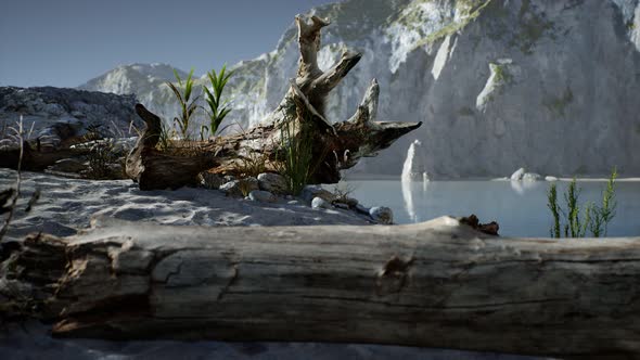 White Sand Beach Near Rocky Cliffs at Ocean alt