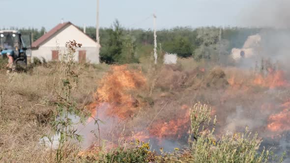 Fire Dry Grass in Field Near the Village in Summer Wildfire of Dry Stubble