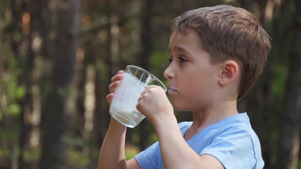 Happy European Boy Drinking Milk in the Background of Nature