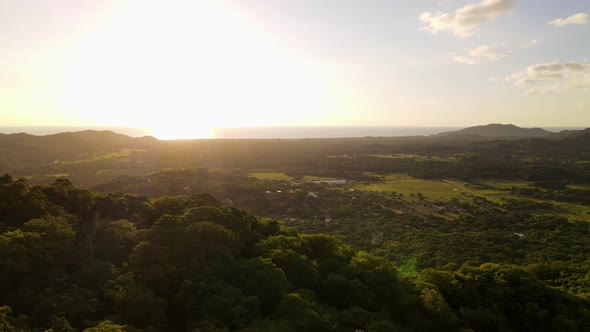 Aerial footage in 4k of Costa Ricas coastal flora. Backwards flying drone revealing the lush thick r