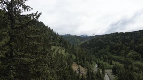 Ukraine, Carpathian Mountains: Beautiful Mountain Forest Landscape. Aerial