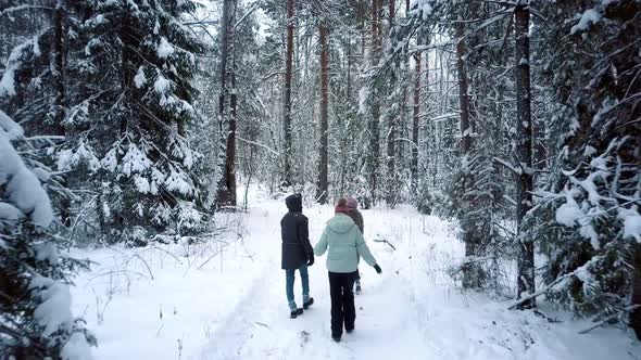 Friends Spend Leisure Time Walking Along Winter Park