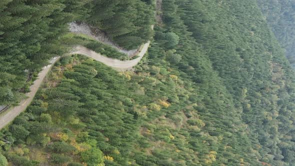 Vertical Video Carpathian Mountains