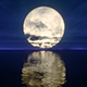 Full Moon on Horizon - VideoHive Item for Sale