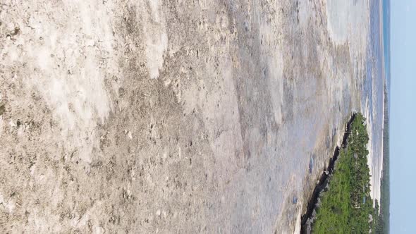 Vertical Video of Low Tide in the Ocean Near the Coast of Zanzibar Tanzania Aerial View