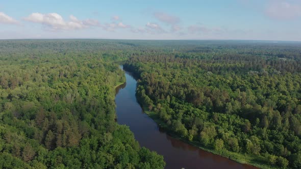 Landscape of Green Nature - Coniferous Dense Forest and Small River Stretches Between