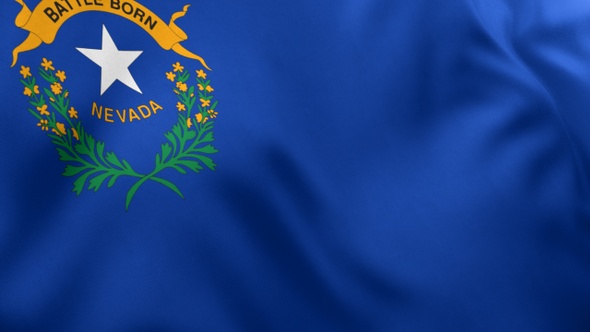 Nevada State Flag