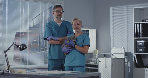 Female Veterinarian Holding Cat