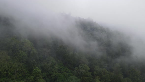 Aerial view of foggy rain forest in near village Indonesia