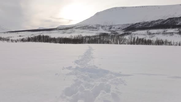 Trail Track Through Immaculate Snowy Valley Landscape In Norway