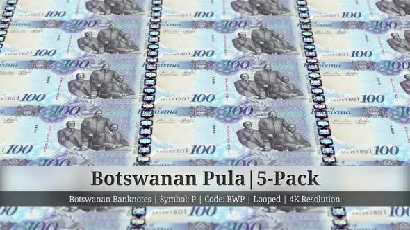 Botswanan Pula | Botswana Currency - 5 Pack | 4K Resolution | Looped