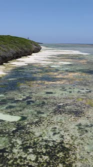 Tanzania  Vertical Video of Low Tide in the Ocean Near the Coast of Zanzibar Slow Motion