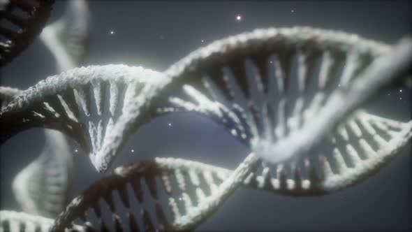 Double Helical Structure of Dna Strand Close-up Animation alt
