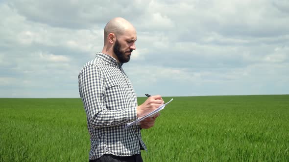 Farmer Examines the Field of Cereals