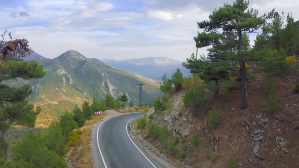 Pine Forest on Winding Road Towards Beautiful Mountains