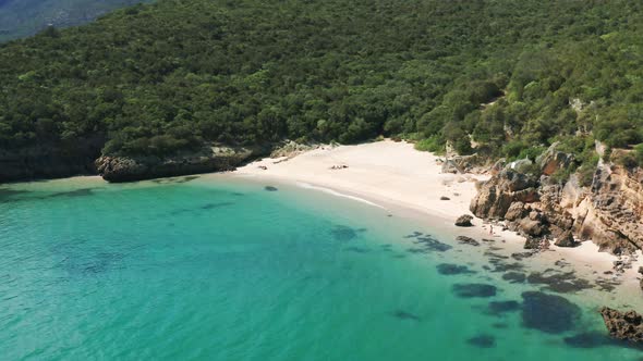 rGlorious Views of the Coast and Dense Forest