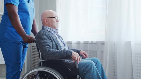 African-American caregiver and old disabled man in a wheelchair. Nurse and handicapped patient.