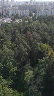 Aerial View of the Border of the Metropolis and the Forest