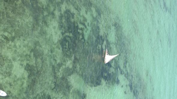 Tanzania Vertical Video  Boat Boats in the Ocean Near the Coast of Zanzibar Aerial View