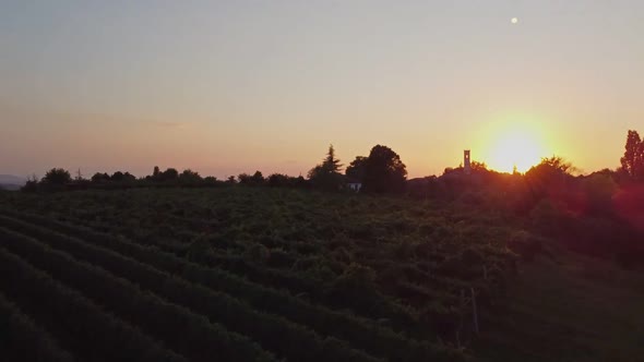 Drone takes off above a vineyard in Italy at sunset with a small church in the background 50 fps