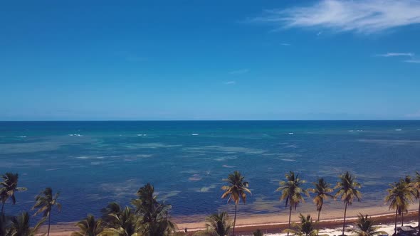 4k 24fps Drone Shoot Of The Caribbean Beach With Palmstrees And Blue Water