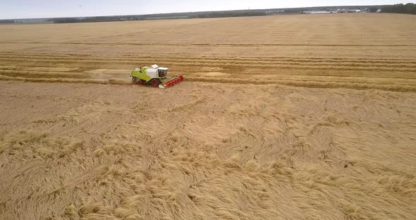 Bird Eye View White and Green Harvester Gathers Ripe Wheat