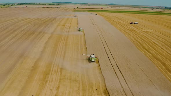 Aerial Drone Top View Harvesting Machine Cutting Down Ripe Wheat Crop Ready To Be Transported and