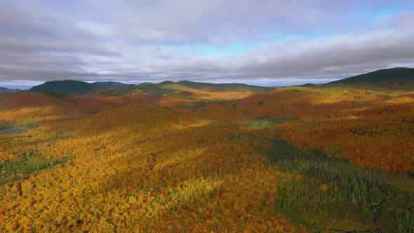 Aerial footage flying to the right high over golden autumn forest with cloud shadows