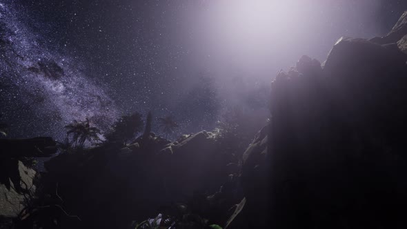 Stars Trails Over Sandstone Canyon Walls