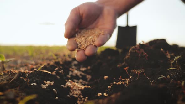 Planting Seeds