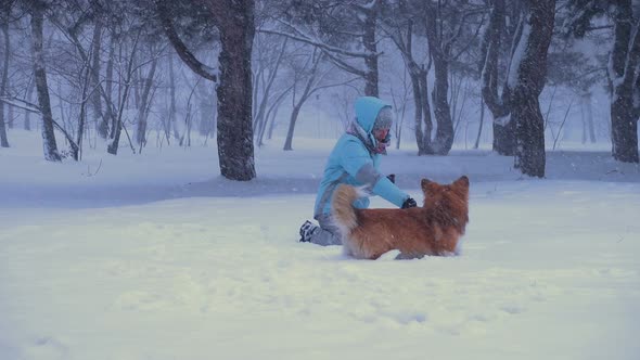 Girl Playing With The Dog alt