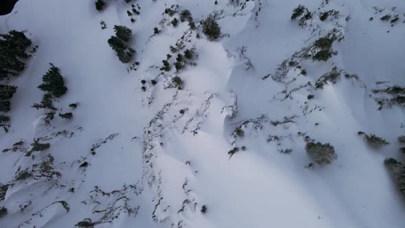 Overhead drone shot of snowy forest on the hill near Crater Lake, Oregon