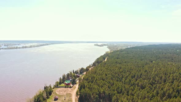 Green Coniferous Forest and River