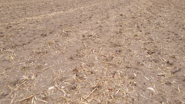 Land in a Plowed Field in Autumn