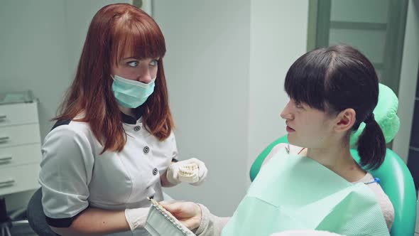 A dentist is holding a cast in her hand and talking to a client, who examining the models of crowns