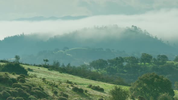 Slow TIMELAPSE of rolling mist across the Alentejo landscape, Portugal alt