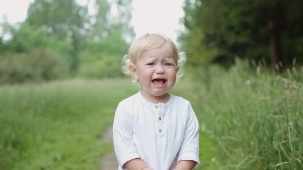 portrait of a child in the park. crying baby . parenting concept.