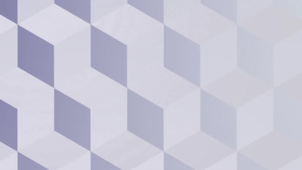 Digital generated video of various shape  alt