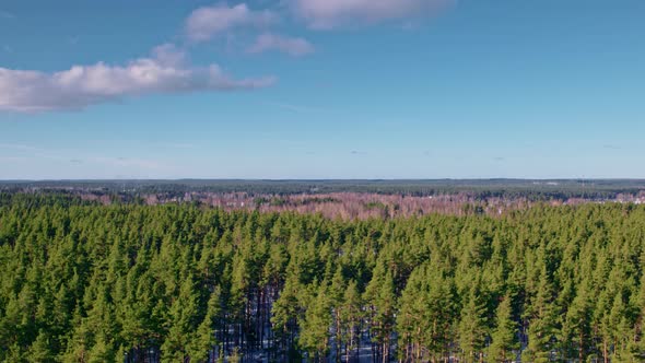 Flight Over the Fields in the Suburbs of St. Petersburg 12